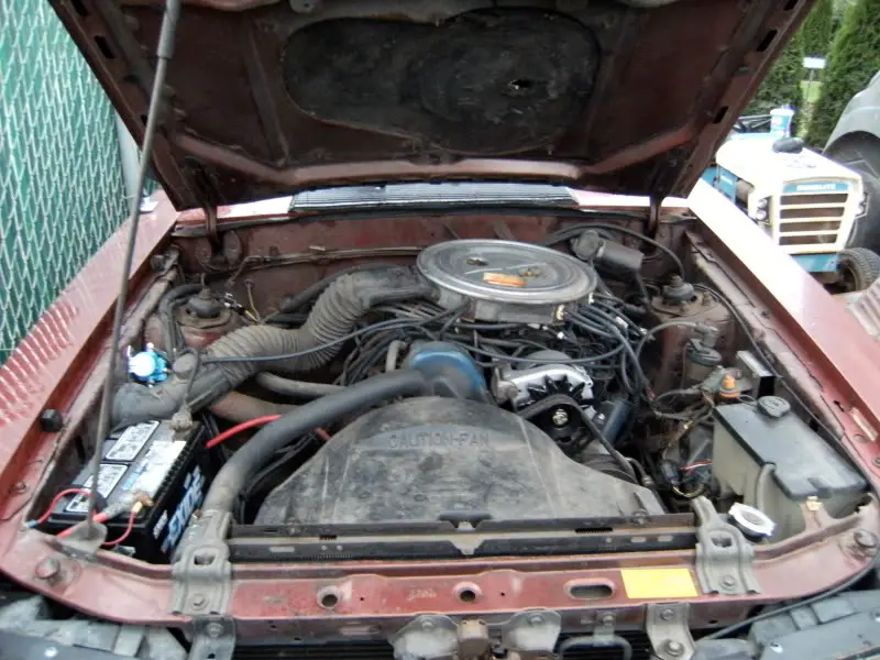DSCF5302.jpg