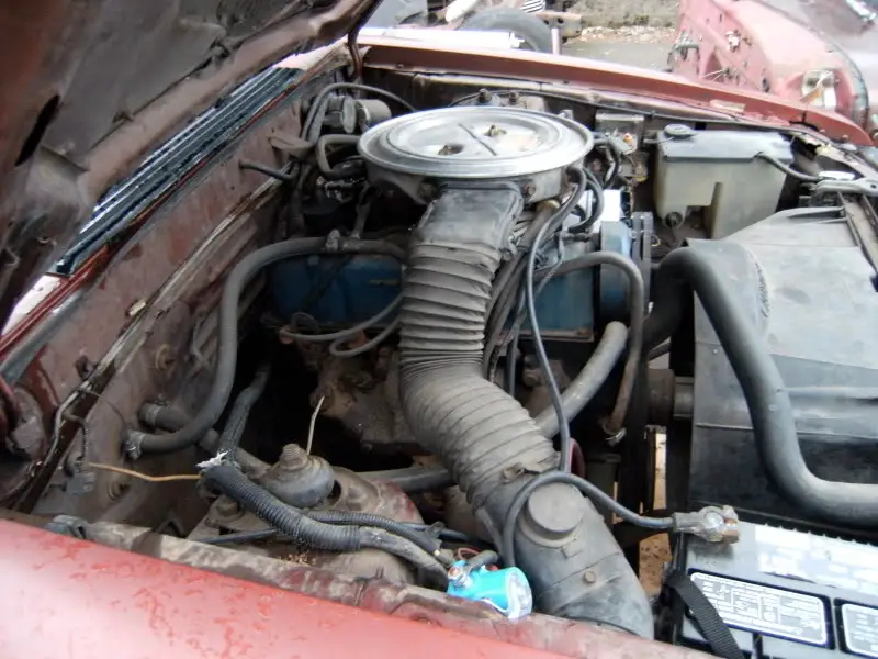 DSCF5305.jpg
