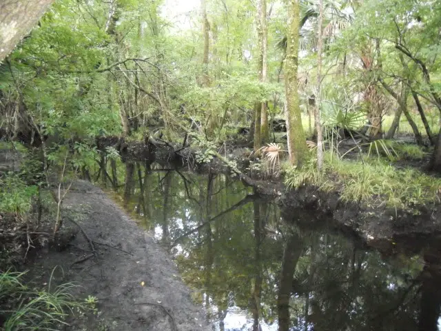 DSCN0286.jpg