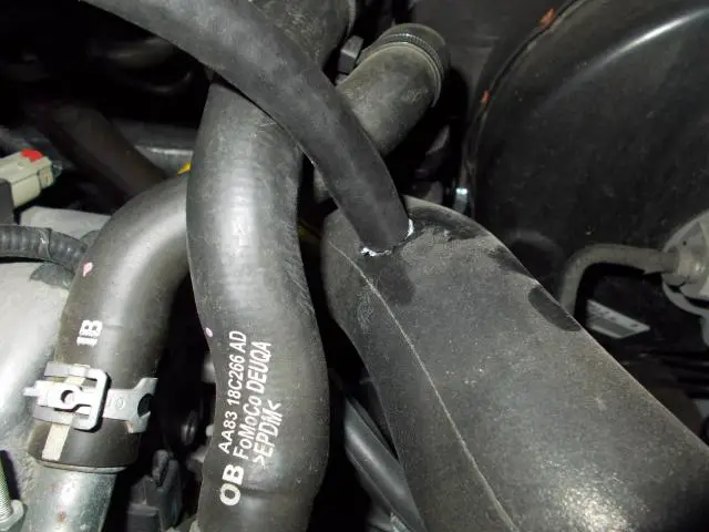 DSCN0513_zps07c65e34.jpg