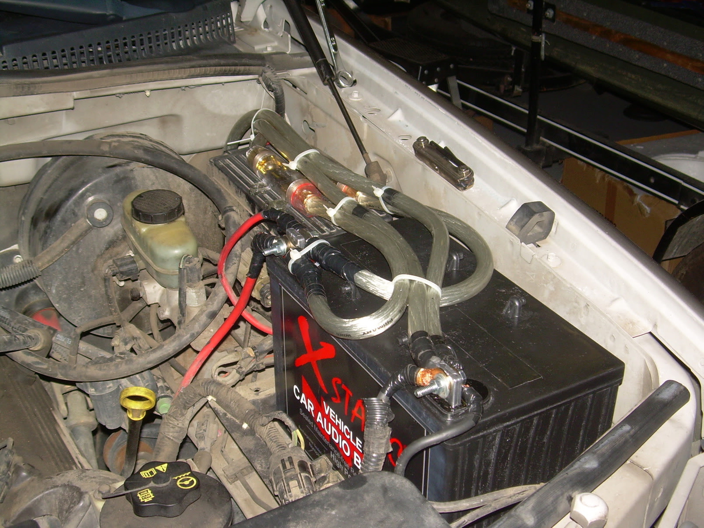 DSCN0520.jpg