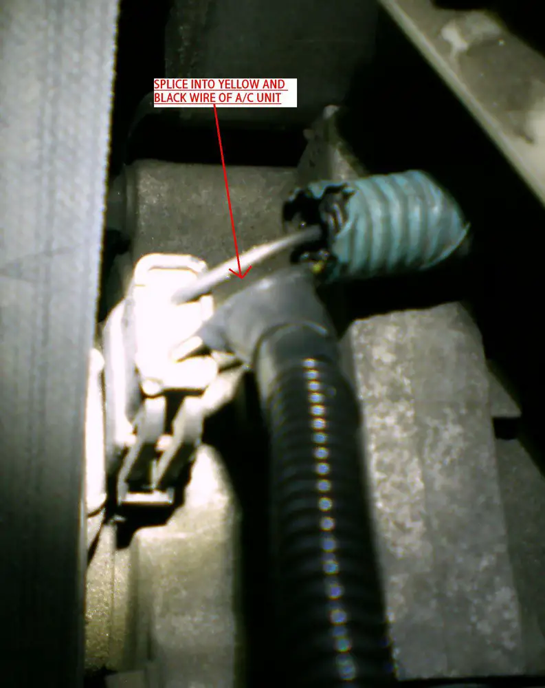 DSCN0721.jpg