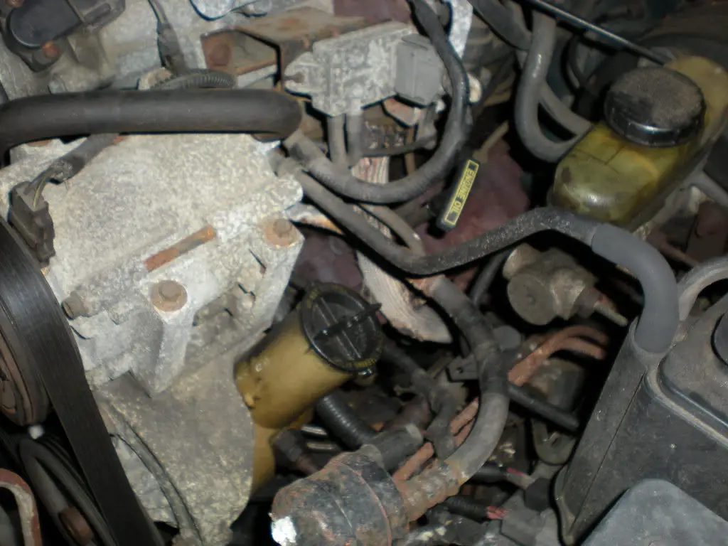 DSCN0920.jpg