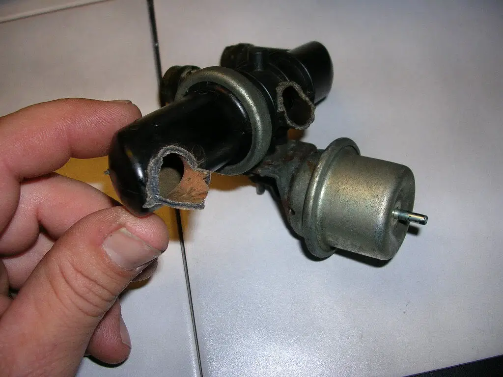 DSCN1086.jpg