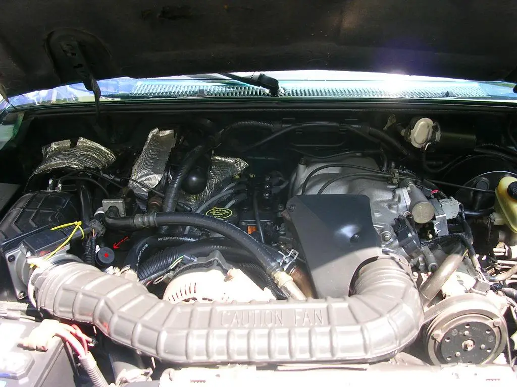 DSCN1154b.jpg