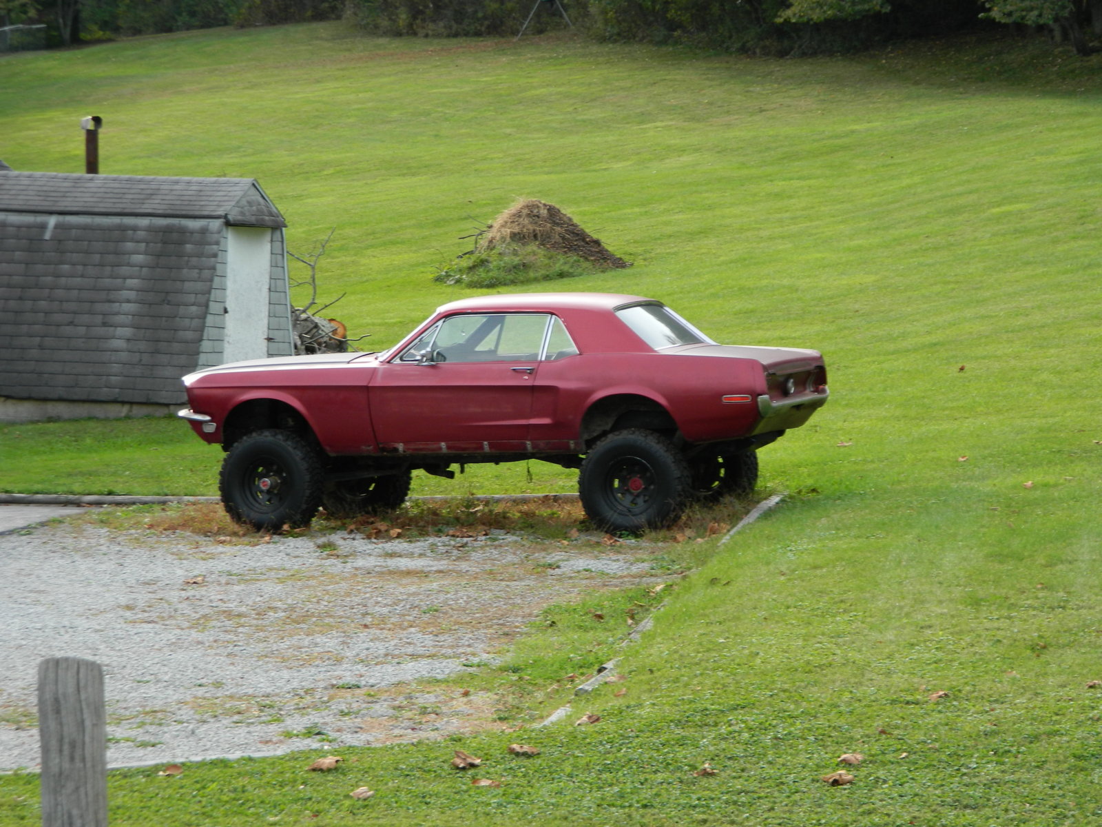 DSCN1256.JPG