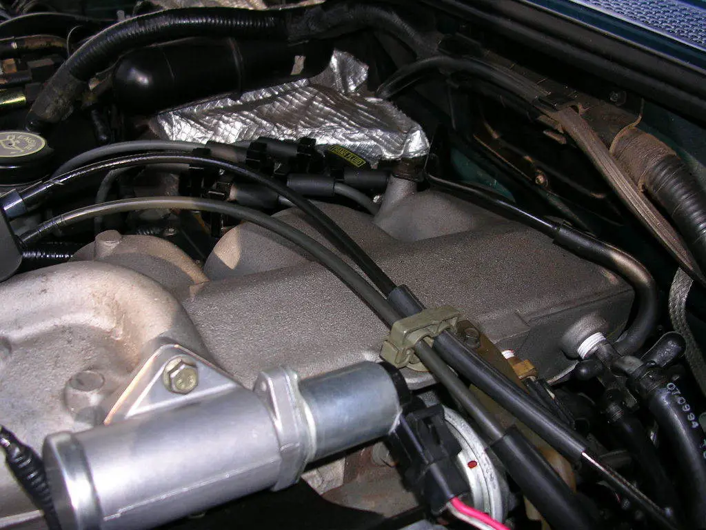 DSCN1284.jpg