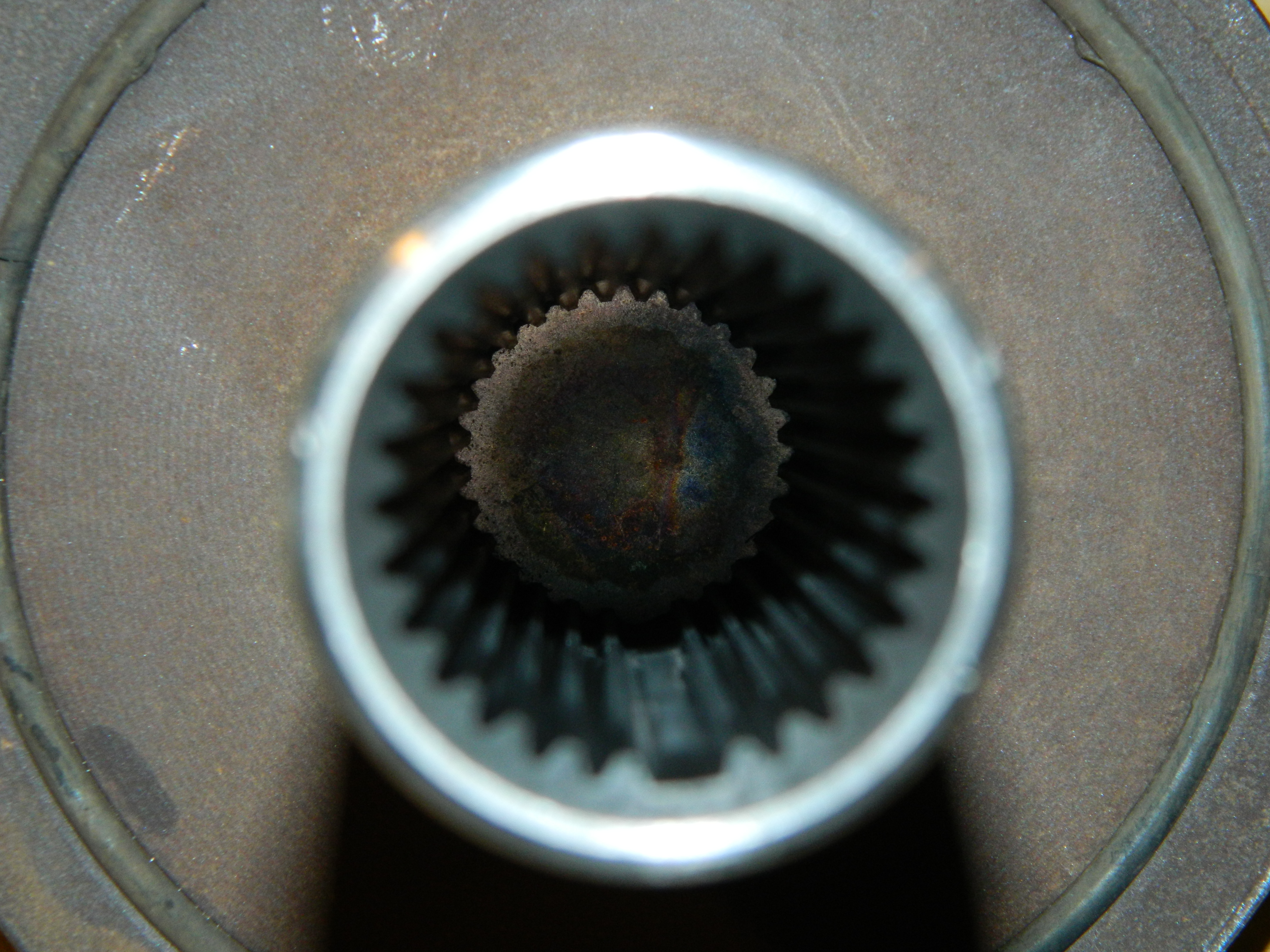 DSCN1393.JPG