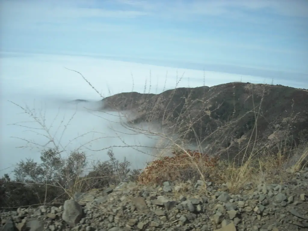 DSCN1951.jpg