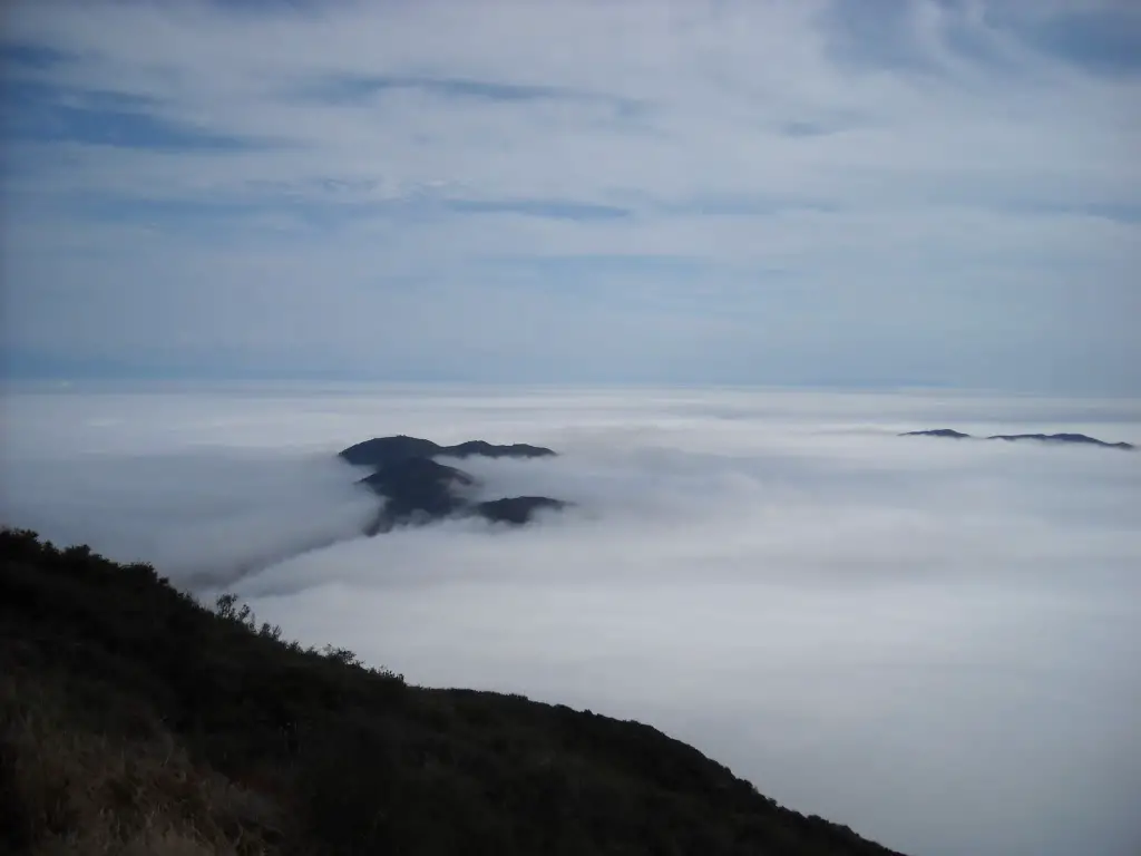 DSCN1953.jpg