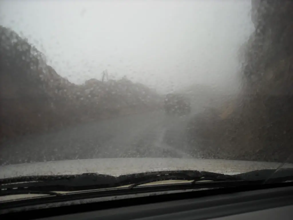DSCN1960.jpg