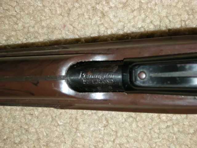 DSCN1994.jpg