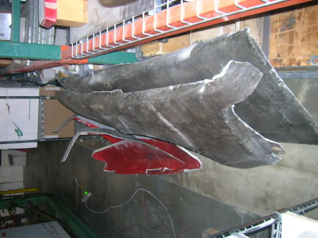DSCN2518.jpg