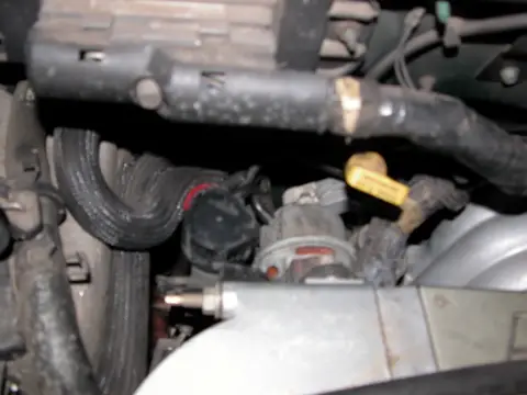 DSCN4373.jpg