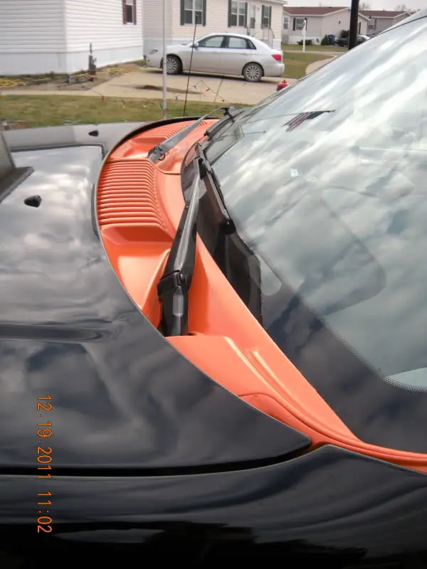 DSCN5086.jpg