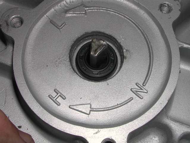 DSCN7584.jpg