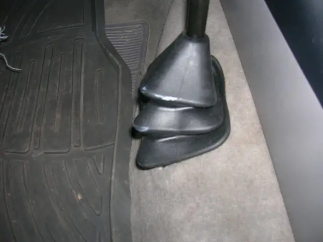 DSCN8290.JPG