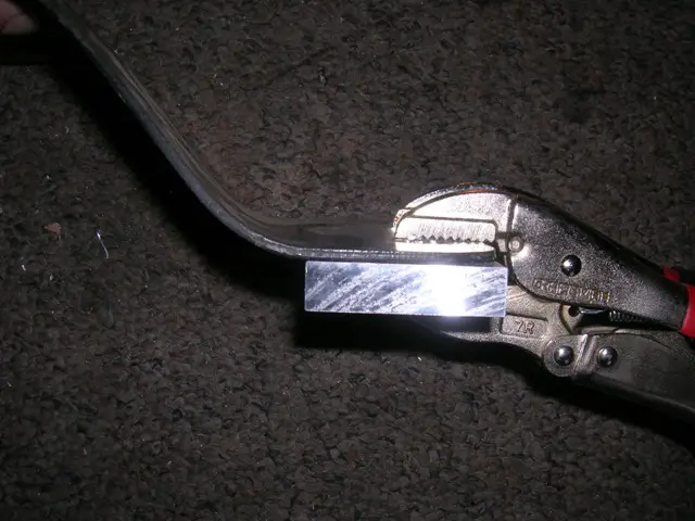 DSCN8338.JPG
