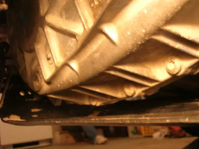 DSCN8355.JPG