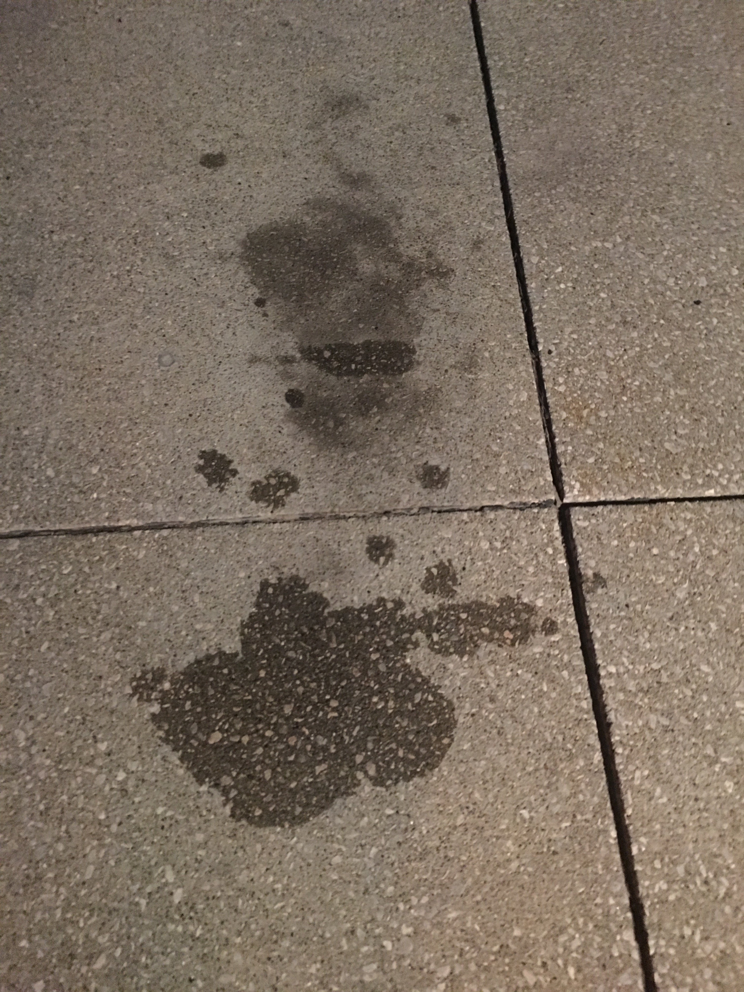EC47CE71-C03B-4DE6-BE76-E7EA0F9AC29A.jpeg