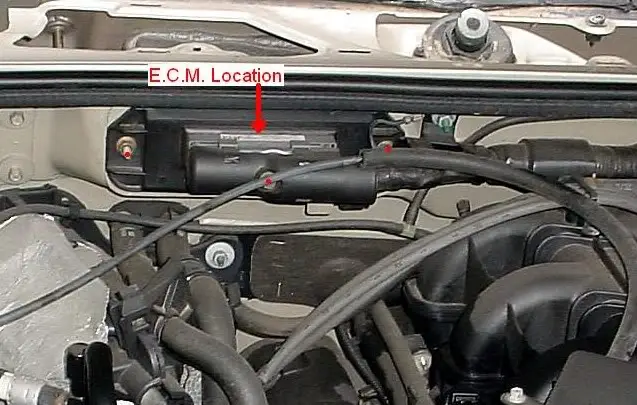 ECMlocation.jpg