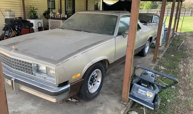 elcamino1.jpg