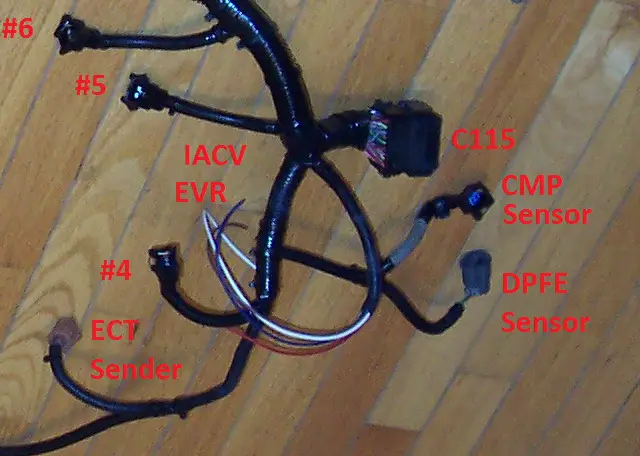 EngHarnR5.jpg