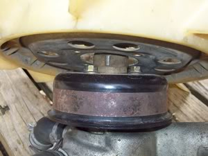 Fan005.jpg