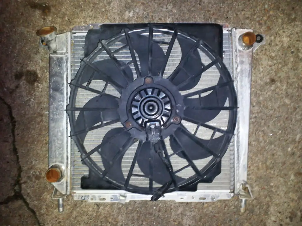 fan1.jpg