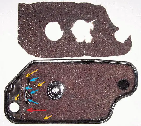 Filter1.jpg