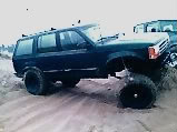 Flex2.jpg