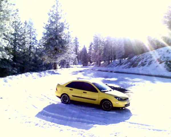 Focus_snow_1.jpg