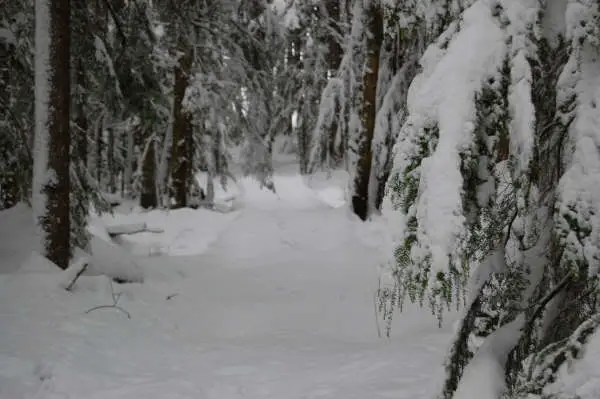 fourwheelinelbe2-2-08019.jpg