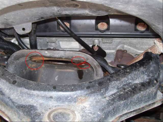 front_top_nuts_2.jpg