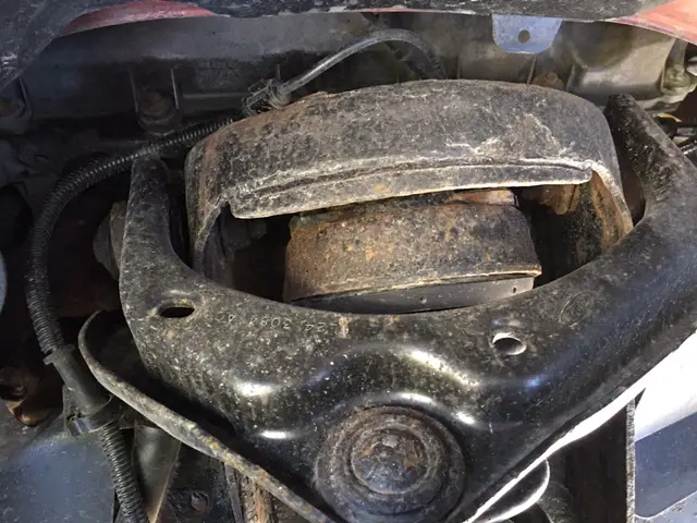 frontstrut.JPG