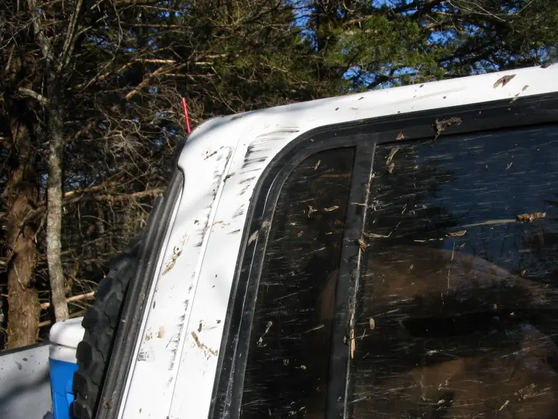 frostbite047.jpg