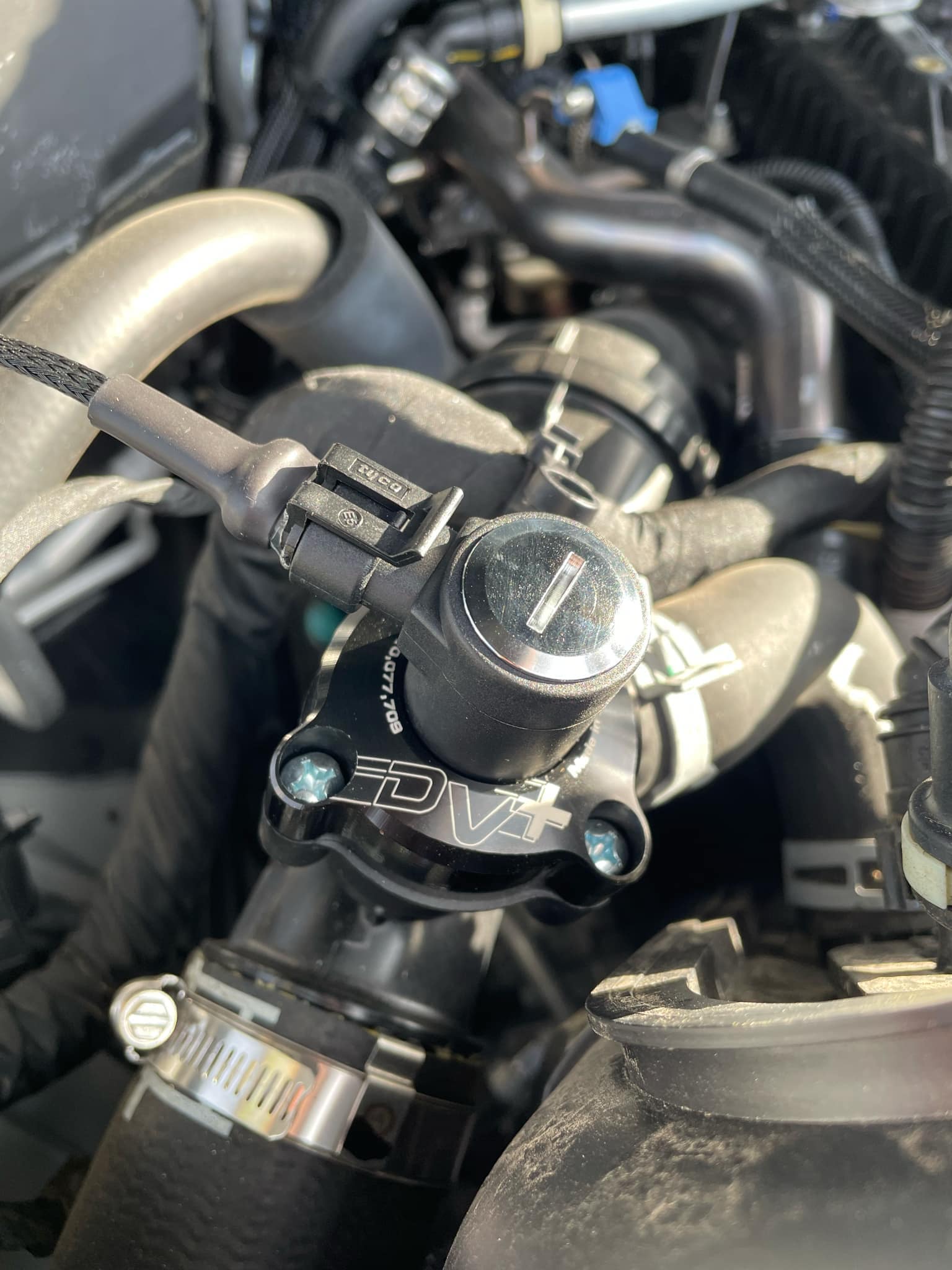 GFB DV Plus T9384.jpg