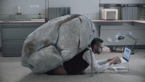 Under-a-rock GIFs - Get the best GIF on GIPHY