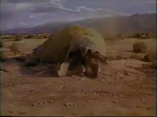 graboid.jpg