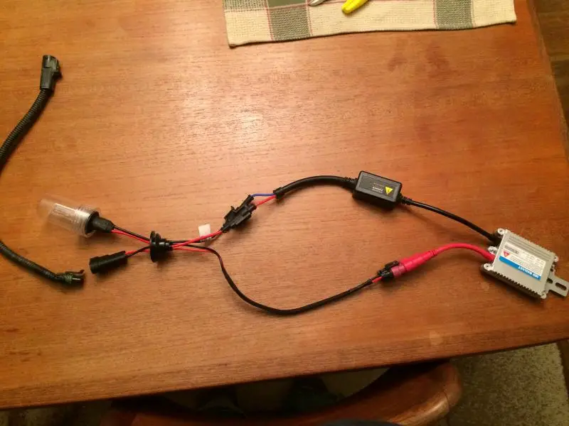 Harness.jpg