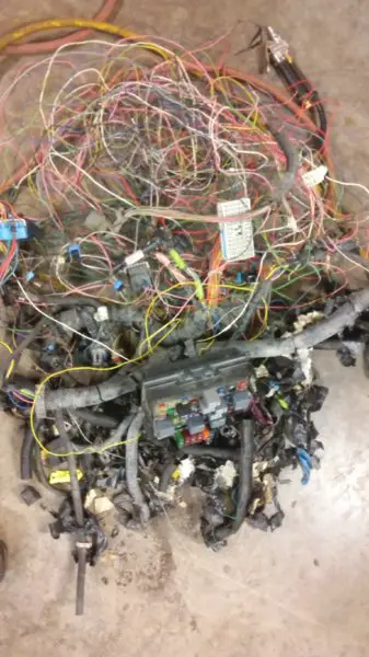 harness remains.jpg