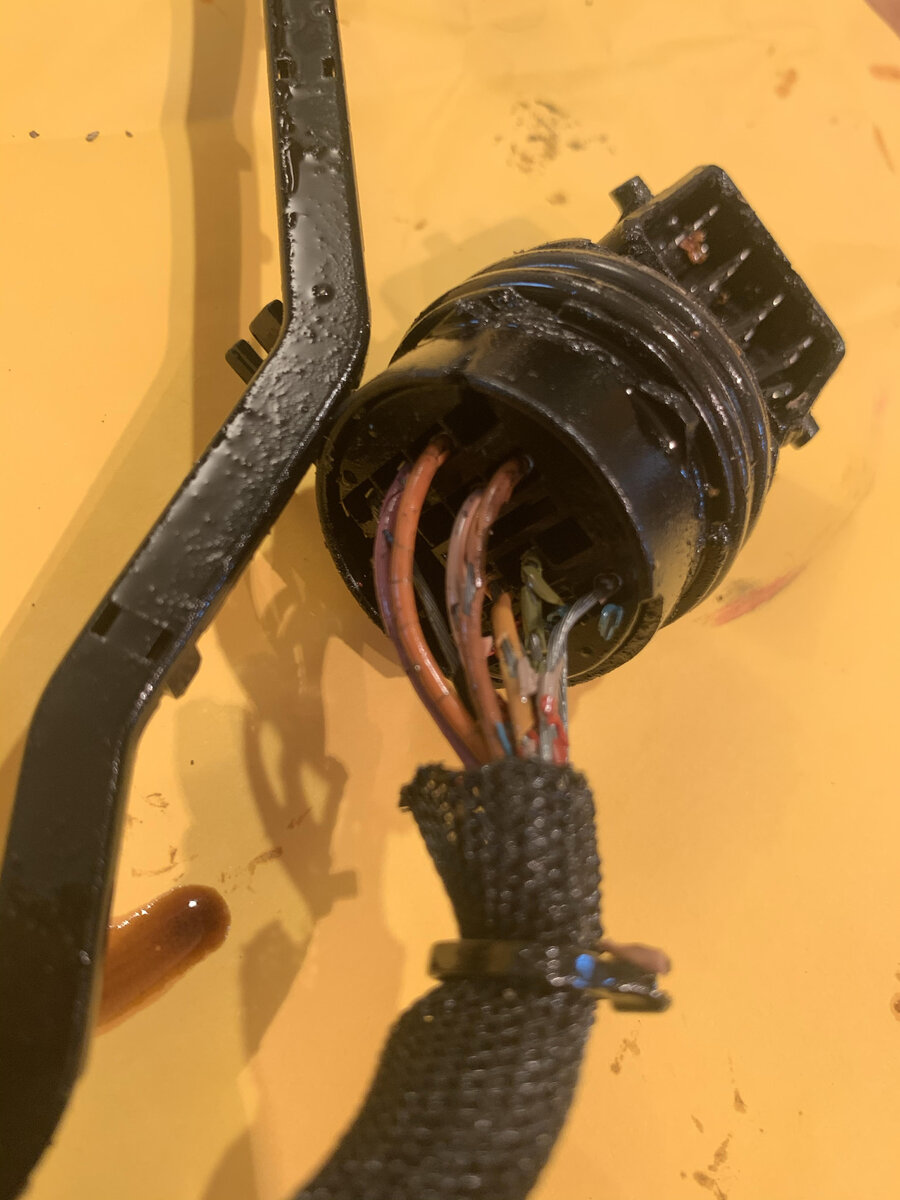 harness1.jpg