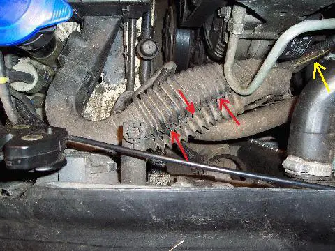 Harness1.jpg
