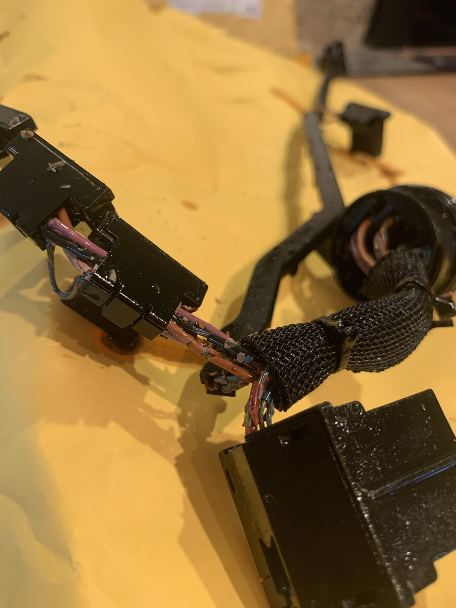 harness2.jpg