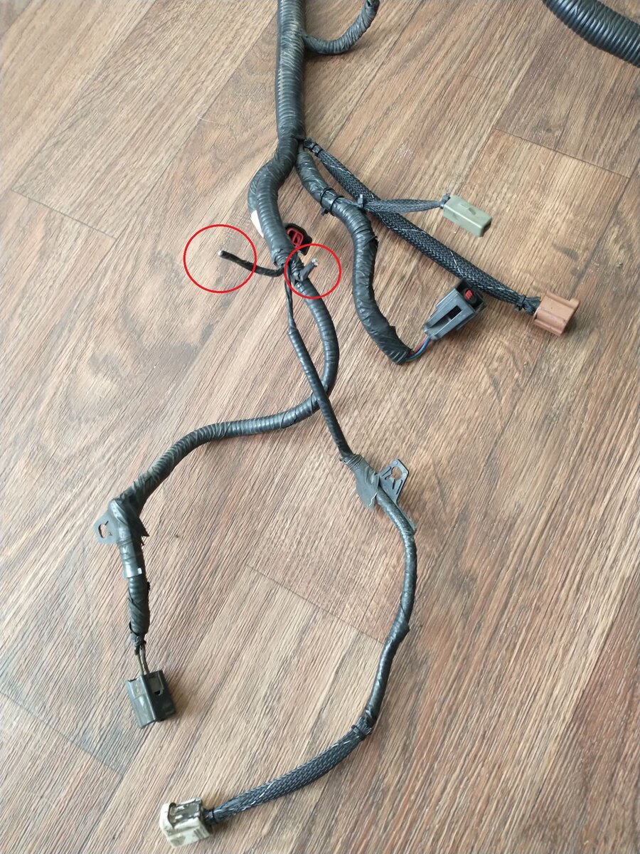 harness2.jpg