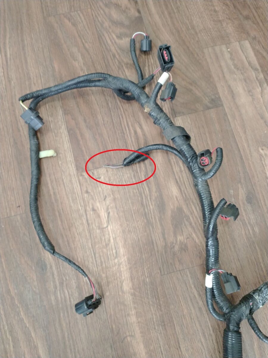 harness3.jpg