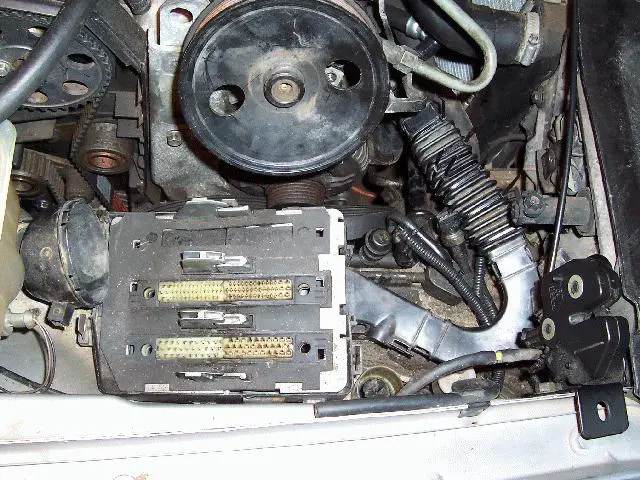 Harness3.jpg