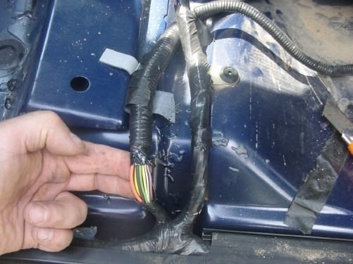 harness_.jpg