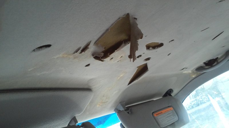 HEADLINER BEFORE.jpg