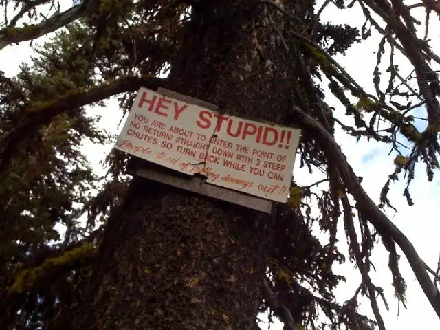 heystupid.jpg